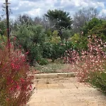 Frühstückspension Tenuta La Milogna Gallipoli